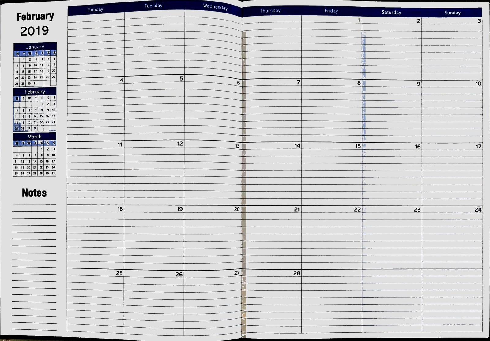 Diary 2018 A4 Planner month to view Luxe BLACK only