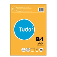 Envelope 353x250 B4 [PnS] Gold box  50 Tudor 140227 