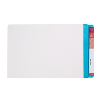 Lateral File Legal White Light Blue Avery 42536 Mylar End Box 100 35mm Expansion