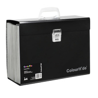Carry File 19 Pockets COLOURHIDE 90023002J Subject Labels: Includes labels for easy organisation.