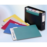 Organiser Beautone Portable File With 10 Folders 32565