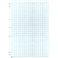 Graph Pads  A4  2mm 7 Hole Punched 25 Sheets GP840 Impact 