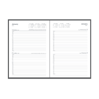  Appointment Diary 2024 240.P78-24 A4 2 days to page 8am - 6pm, 1/2 hourly Collins 240P7824 EARLY EDITION