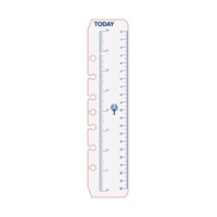 Dayplanner DK1008 Today Ruler Desk Edition 2 Pack 7 Ring To Fit size 216x140mm