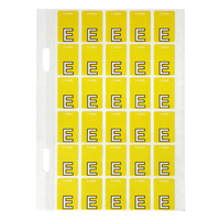 Labels Top Tab Avery Letter E pack 150 44405 Avery Colour Coding 
