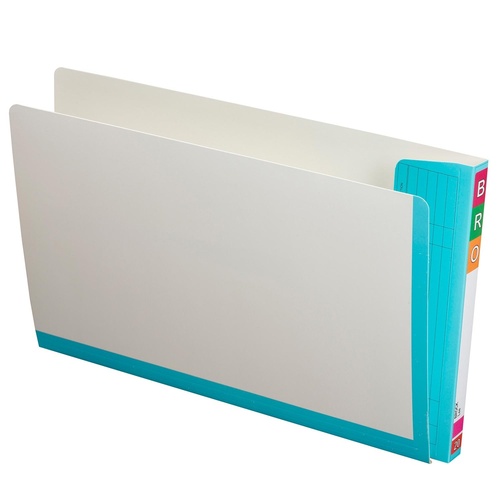 Fullvue Shelf Lateral File White Avery 165715LBL Blue Tab & Spine box 100 Foolscap
