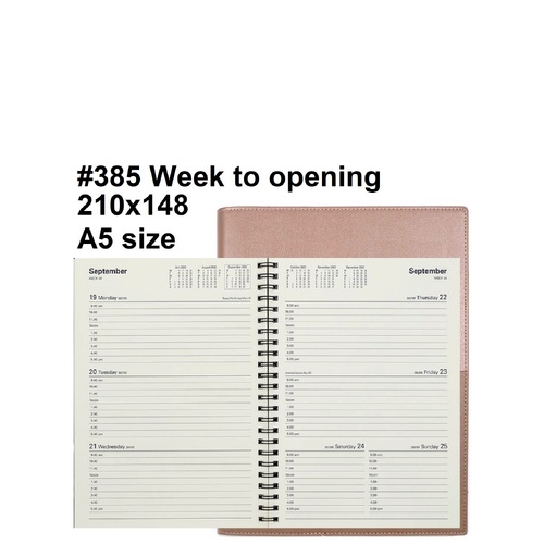 Diary 2024 VANESSA 385.V49-24 A5 Week ROSE GOLD Week to View 9am-5pm, hourly (210x148mm)