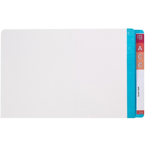 Lateral Files Avery FC Light Blue Expansion AV42436 Mylar Tabs 35mm box 100 reinforced 
