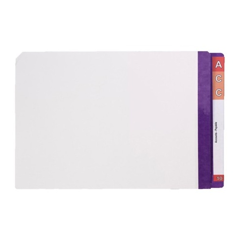 Lateral Files Purple FC Avery 42437 Mylar Tabs 35mm Expansion box 100 reinforced 