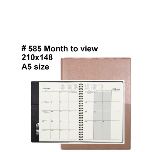 Diary 2027 VANESSA planner A5 ROSE GOLD 585.V49-27 Month to View